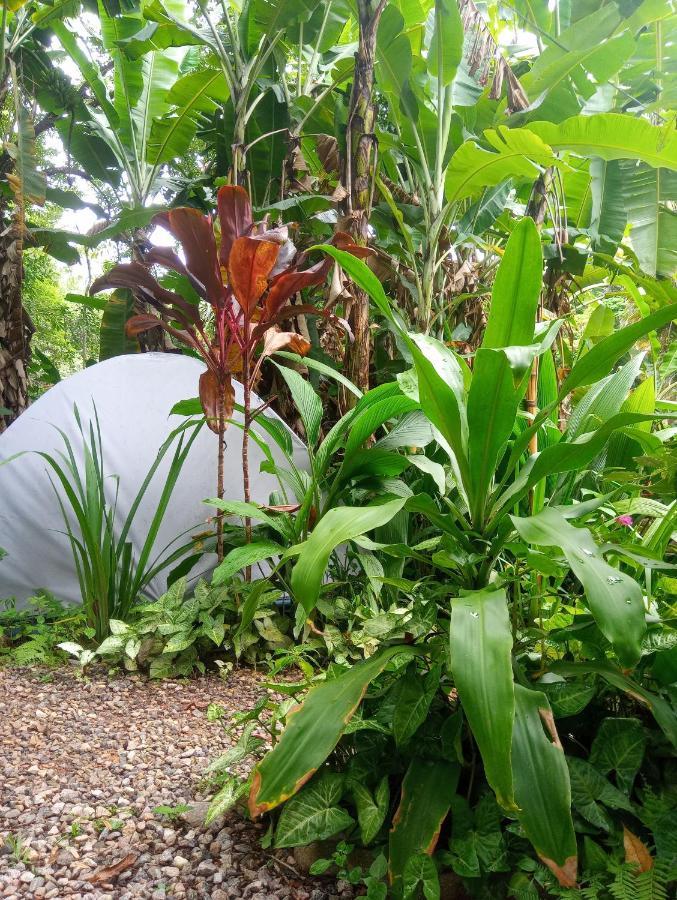 Camping Tropico De Capricornio - Ilhabela Luaran gambar