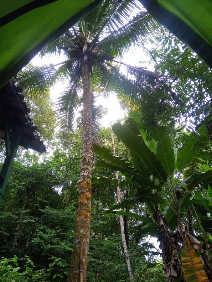 Camping Tropico De Capricornio - Ilhabela Luaran gambar